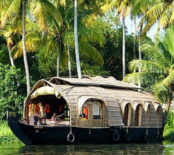 Kerala-Honeymoon-Packages