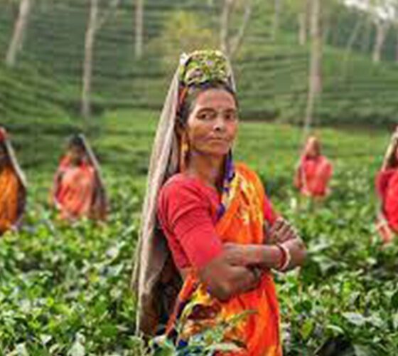 Kerala Itinerary 5 Days available at rl tours and travels