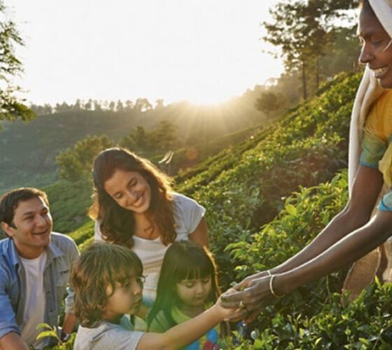Kerala Tour Packages for Family available at Mahalakshmi Tours and Travels