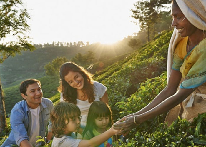 Kerala Tour Packages for Family available at Mahalakshmi Tours and Travels