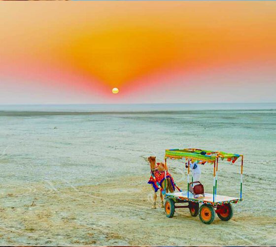 Kutch Tour Package available at rl tours and travels