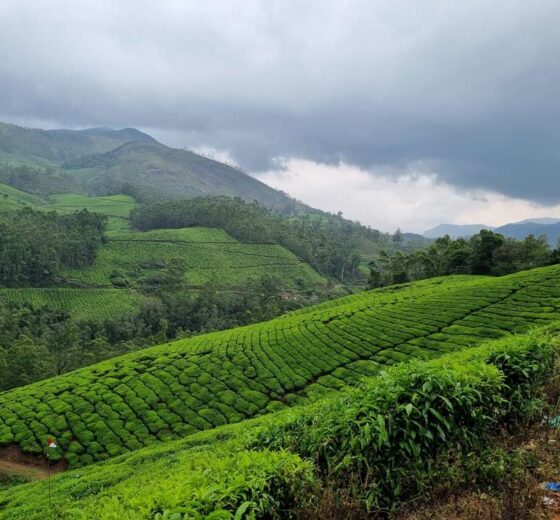 Sikkim meghalaya tour packages contact Mahalakshmi Tours and Travels