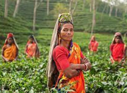 Kerala Itinerary 5 Days available at rl tours and travels